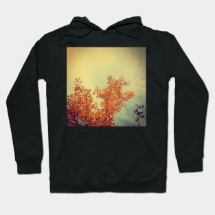 Yellow Birch Leaves Hoodie